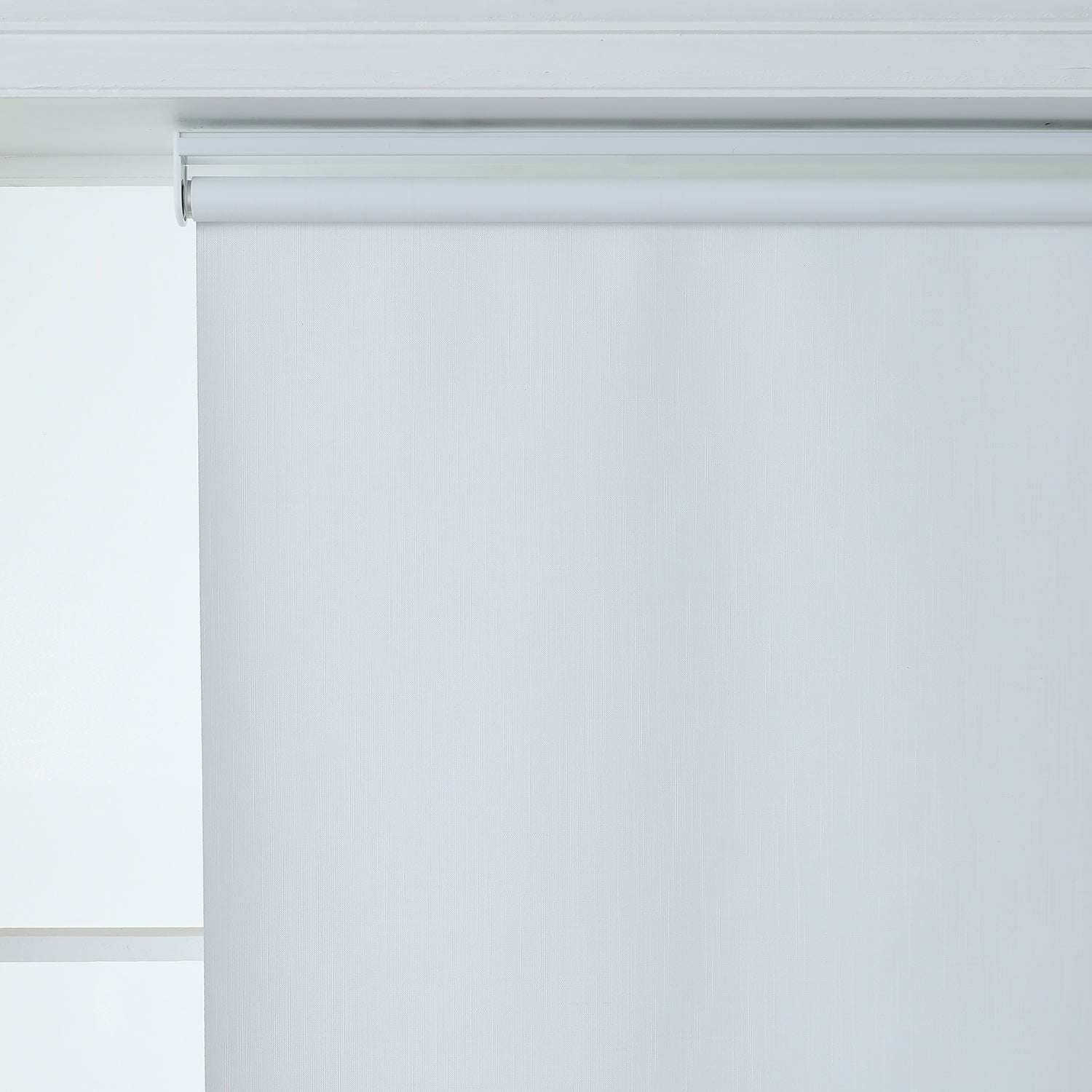 100% Polyester Maximus Blackout Roller Shade